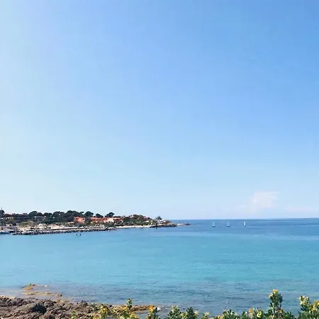 Studio Les Pieds Dans L'eau - 24 Piazze Lumio (Corsica)